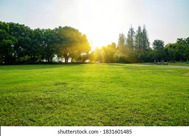 Fine weather and the lawn in the park - Powered by Shutterstock