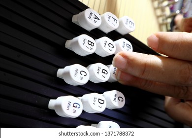 A Finger With An Autoharp Chord