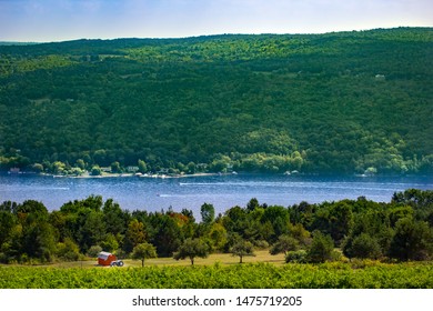 Finger Lakes Vineyard On The Lake With A Barn And Tractor 