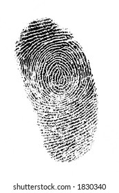 Finger Print On White Background, Good Detail