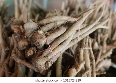 Finger root is a kind of Thai herb. - Shutterstock ID 1315724219