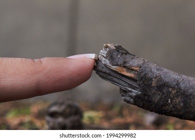 A Finger Touching A Tree Branch 