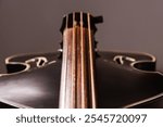 Fingerboard of a ¾ double bass with resonant body, f-holes or tuning pegs, bridge, strings, sides, purfling, and clip-on tuner on the bridge. Concept for music, double bass, rockabilly and jazz