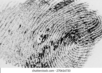 Fingerprint Abstract