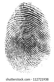 fingerprint pattern isolated on white