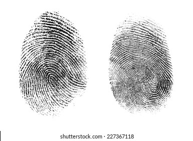 fingerprint or thumbprint set isolated on white