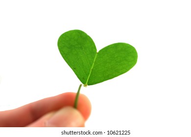 fingers holding a clover heart on a white background