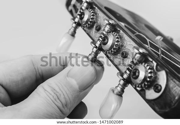 Fingers turning the tuning\
pegs and gears of the headstock of an acoustic guitar. Tuning the\
guitar. Details of the head of an old acoustic guitar. Black and\
white photo.
