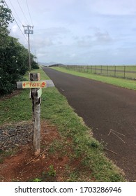Fining Trail By Airport In Lihue 