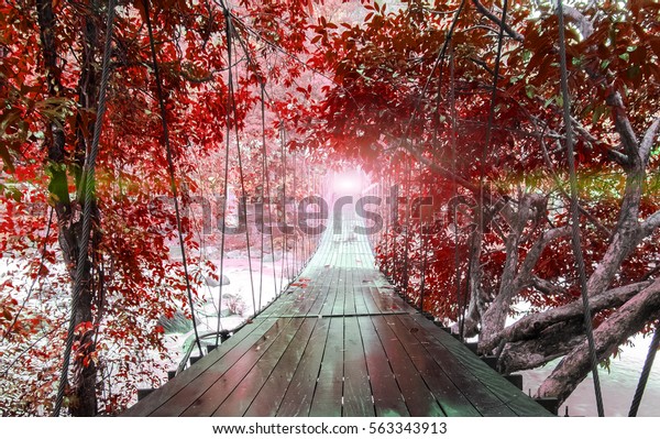 Finish or Goal Line Concept. Lights at The End\
of Perspective Hanging Wooden Bridge as a Walkway Along with\
Various Type of Fantasy Red and White Trees and over The River in\
National Park, Thailand