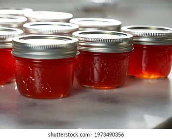 Finished Red Pepper Jelly Canning Preserving Filled Jars In Sunshine