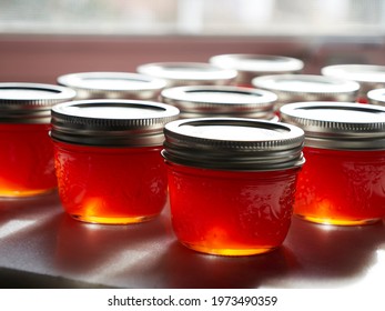 Finished Red Pepper Jelly Canning Preserving Filled Jars In Sunshine