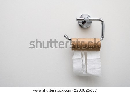 Finished toilet paper empty roll hanging on the wall.