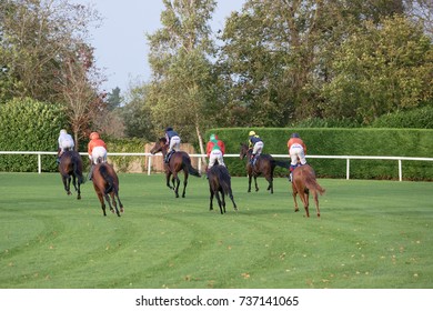 Finishers Of The 5 O Clock Race At Windsor Racecourse On MONDAY 16 OCTOBER 2017