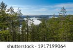Finland forest winter frozen lacs pines nature 