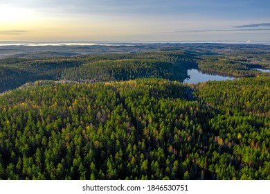 Finland Landscape From The Air With Drone, Lakes And Pine Forest