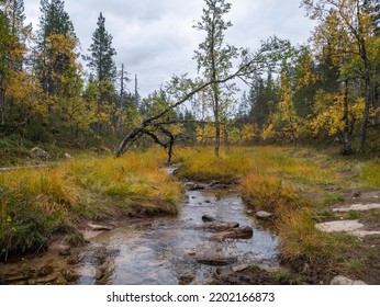 Finland Lapland Autumn Colors Yellow Red Orange Creek Lake River 