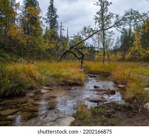 Finland Lapland Autumn Colors Yellow Red Orange Creek Lake River 