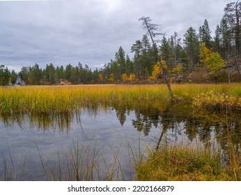 Finland Lapland Autumn Colors Yellow Red Orange Creek Lake River 