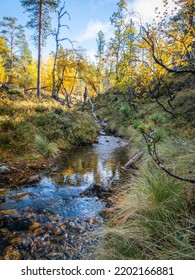 Finland Lapland Autumn Colors Yellow Red Orange Creek Lake River 