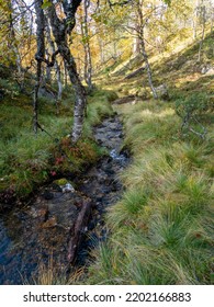 Finland Lapland Autumn Colors Yellow Red Orange Creek Lake River 