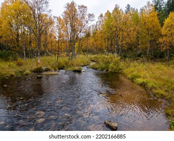 Finland Lapland Autumn Colors Yellow Red Orange Creek Lake River 