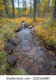 Finland Lapland Autumn Colors Yellow Red Orange Creek Lake River 