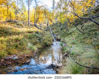 Finland Lapland Autumn Colors Yellow Red Orange Creek Lake River 