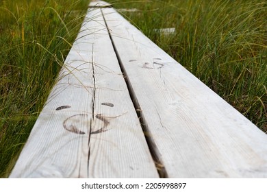 Finnish Forest Reindeer Hoof Prints On A Boardwalk Trail In Salamajärvi National Park In Finland