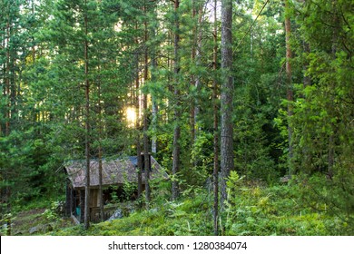 Finnish Summer Cottage (kesämökki) In Forest, Finland. 