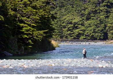 FIORDLAND,NZ - JAN 15:Fisherman Fly Fishing In Eglinton River On Jan 15 2014.NZ Has A World-renowned Wild Trout Fishery And Fiordland Area Offers Many Rivers, Streams And Lakes In Stunning Locations.