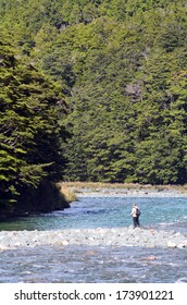 FIORDLAND,NZ - JAN 15:Fisherman Fly Fishing In Eglinton River On Jan 15 2014.NZ Has A World-renowned Wild Trout Fishery And Fiordland Area Offers Many Rivers, Streams And Lakes In Stunning Locations.