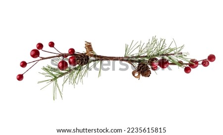 Fir branch, with branches of red berries and snow isolated. christmas tree.Christmas green spruce branch,   decoration red berries holly. green fir tree branch, isolated on a white background