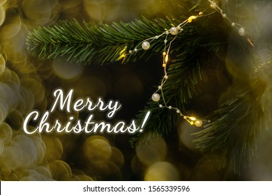 Fir branch with garland and Merry Christmas.