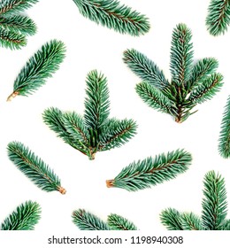 Fir Branches Pattern. Pine Branch, Christmas Confier Tree Isolated On White Background.  