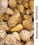 fir cones