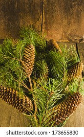 Fir cones