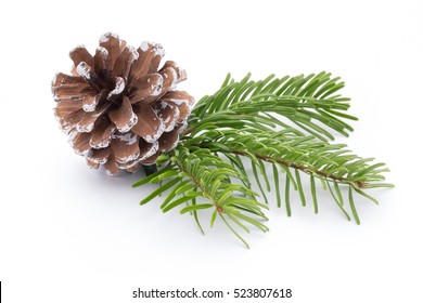 Fir Tree Branch And Cones Isolated On White Background.