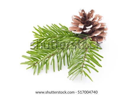 Similar – green spruce branches with brown cones