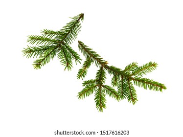 21,827 Pine Tree Sprig Images, Stock Photos & Vectors | Shutterstock