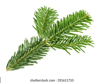 Fir Tree Branch Isolated On White