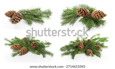 Fir tree branches and cones isolated on white, set