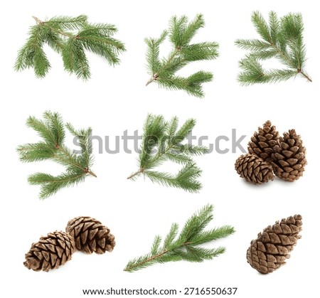 Fir tree branches and cones isolated on white, set