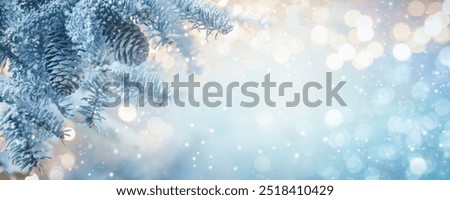 Fir tree branches in snow close up. Christmas and winter concept. Soft focus.