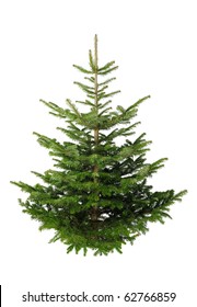 Fir Tree For Christmas, Not Adorned, Isolated On White Without Shadow