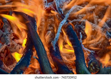 Fire