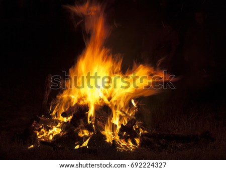 Similar – Foto Bild Lagerfeuer im Wald Freude