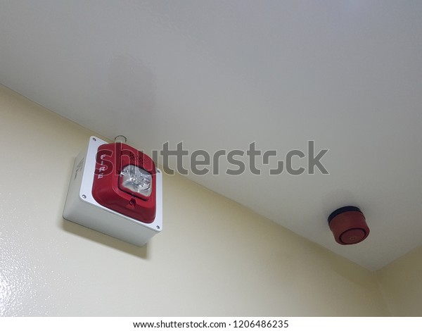 Fire Alarm Siren Flashing Light Strobe Stock Photo Edit Now 1206486235