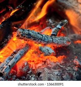 fire and ashes