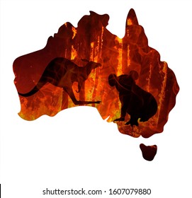 Fire In Australia. Animals Killed In Fiers. Catastrophe And Apocalypse. Pray For Australia